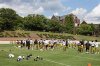 Training Camp.jpg