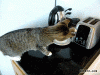 B46CE3CF-3AE8-4B6C-8BBC-16E1D373B6C8.gif